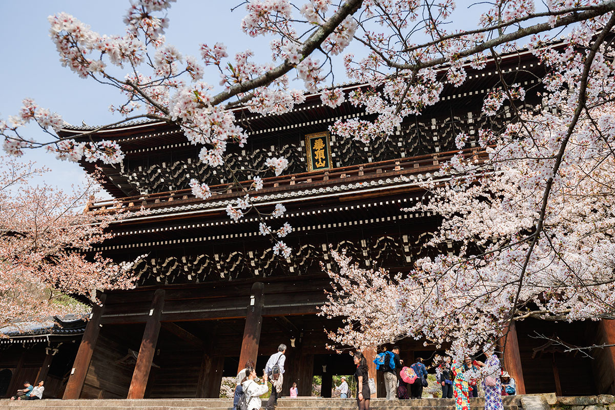 京都 桜_a0003166_00121590.jpg