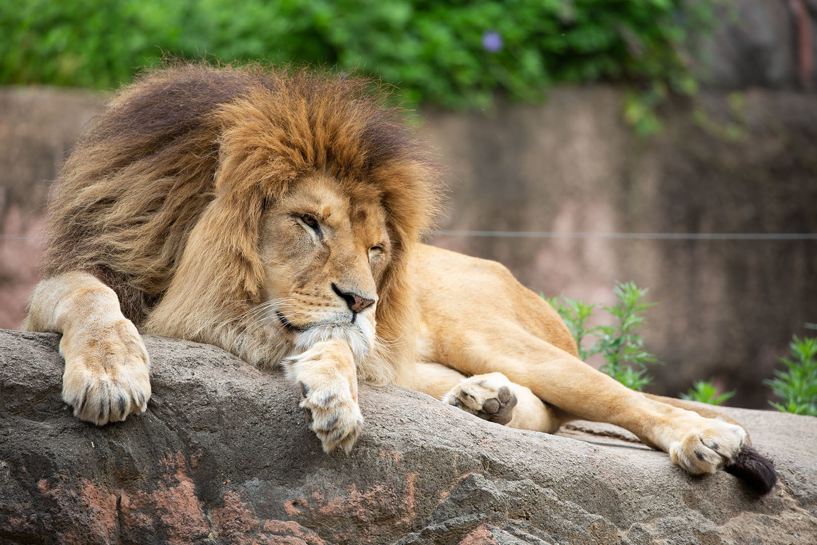 天王寺動物園_a0003166_00211449.jpg