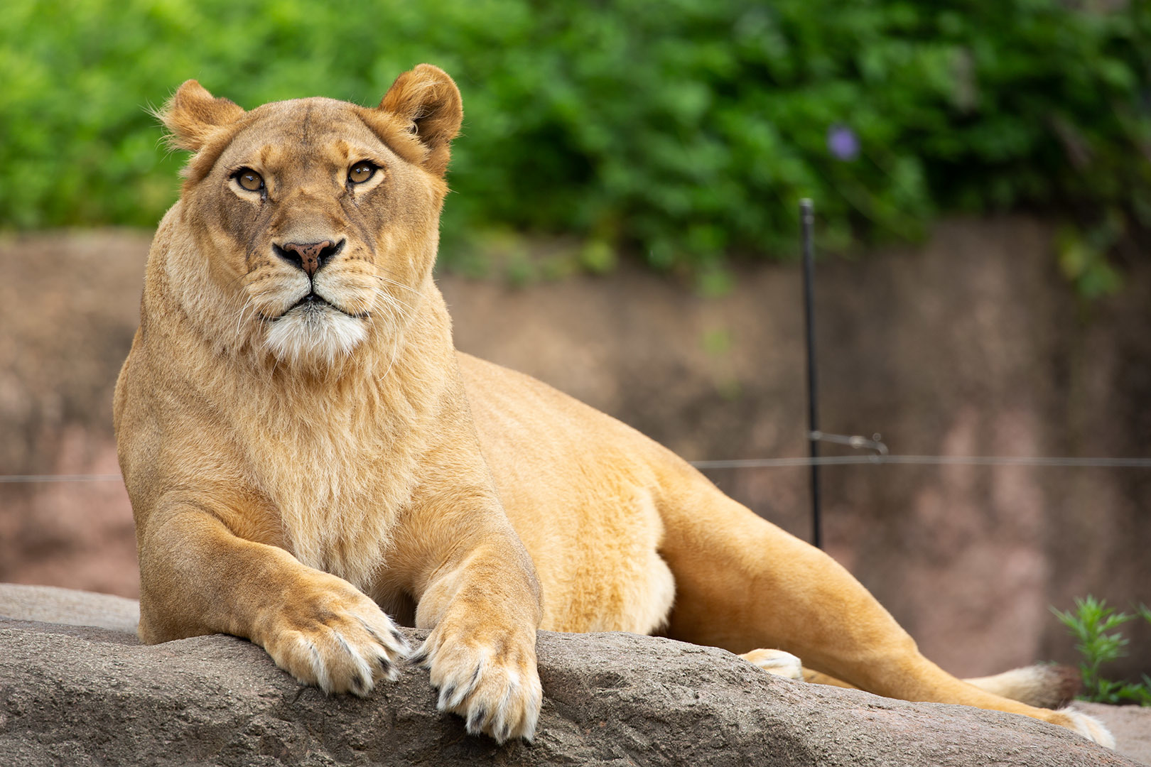 天王寺動物園_a0003166_00225140.jpg