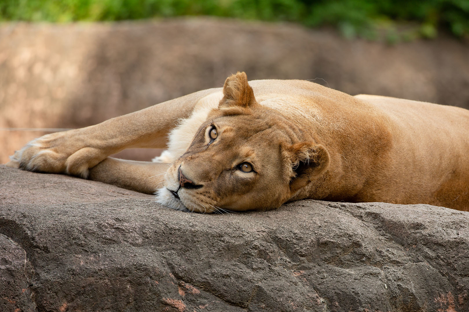 天王寺動物園_a0003166_00225160.jpg