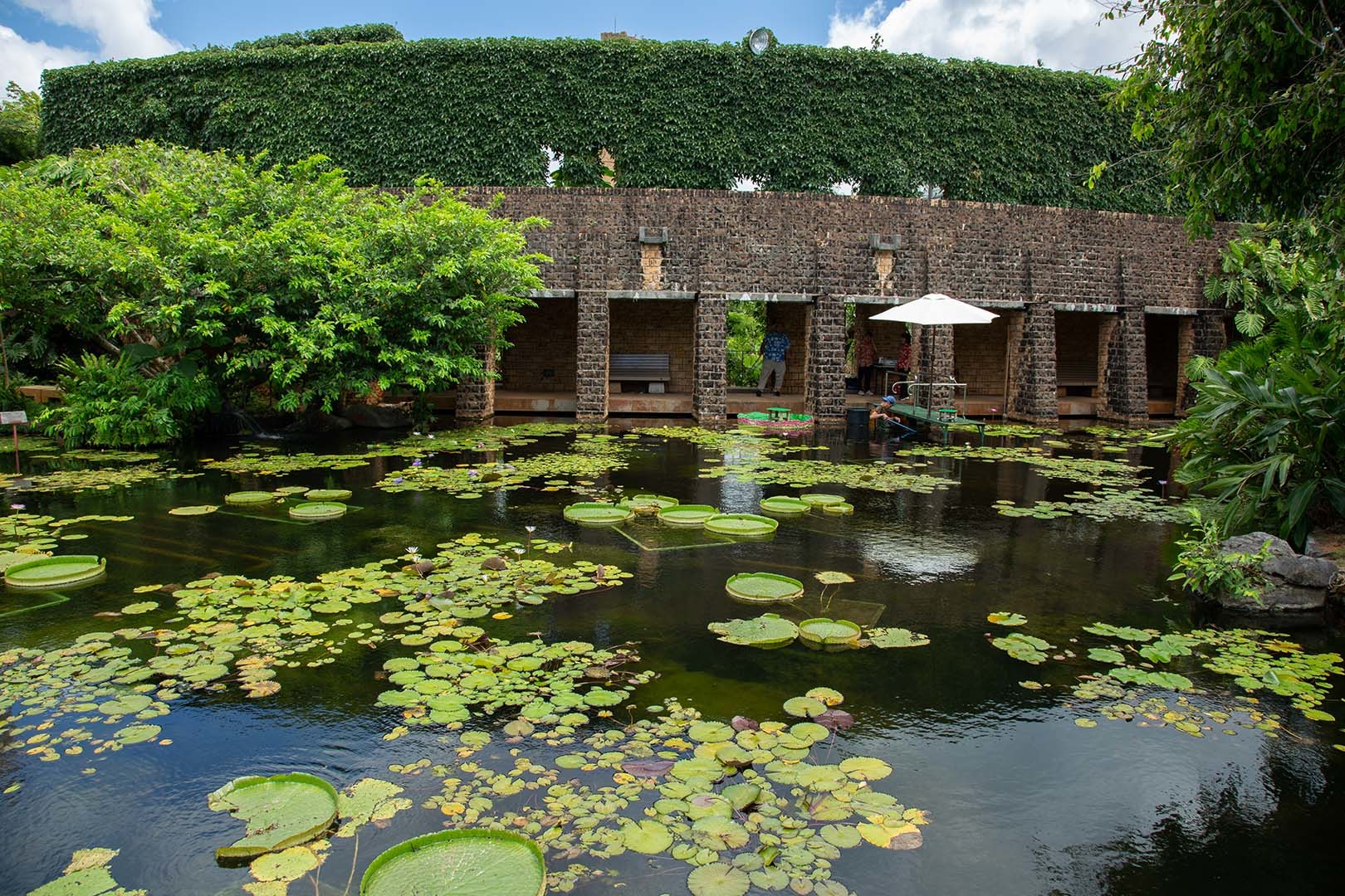 海洋博公園 熱帯ドリームセンター_a0003166_00271074.jpg