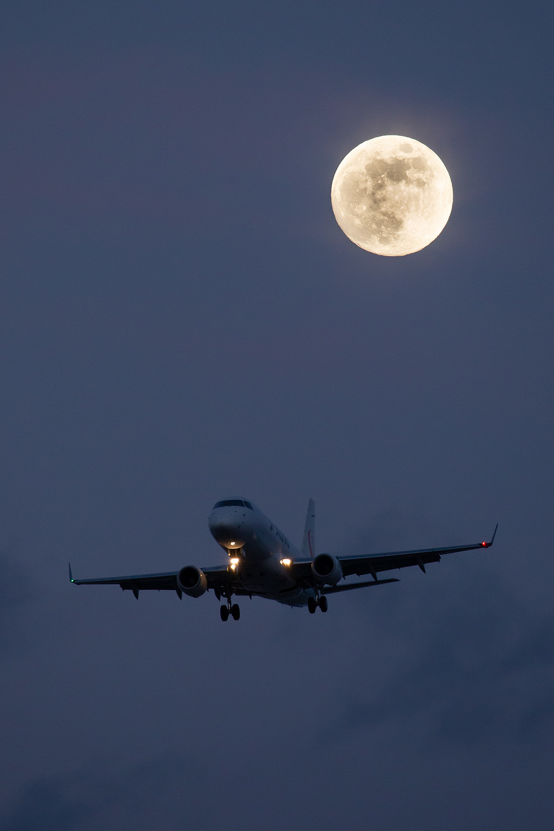 飛行機 月（伊丹空港 千里川）_a0003166_00402102.jpg