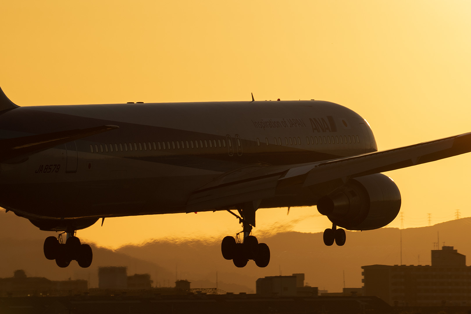 飛行機 夕焼け（伊丹空港 千里川）_a0003166_00444232.jpg
