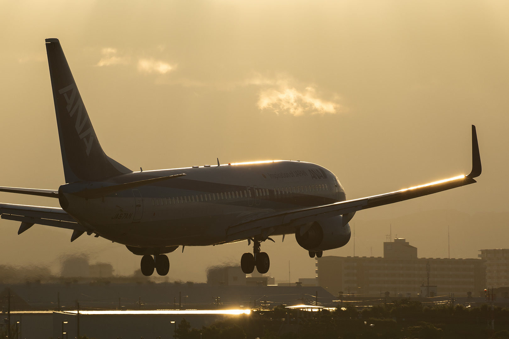 飛行機 夕焼け（伊丹空港、千里川）_a0003166_00453407.jpg