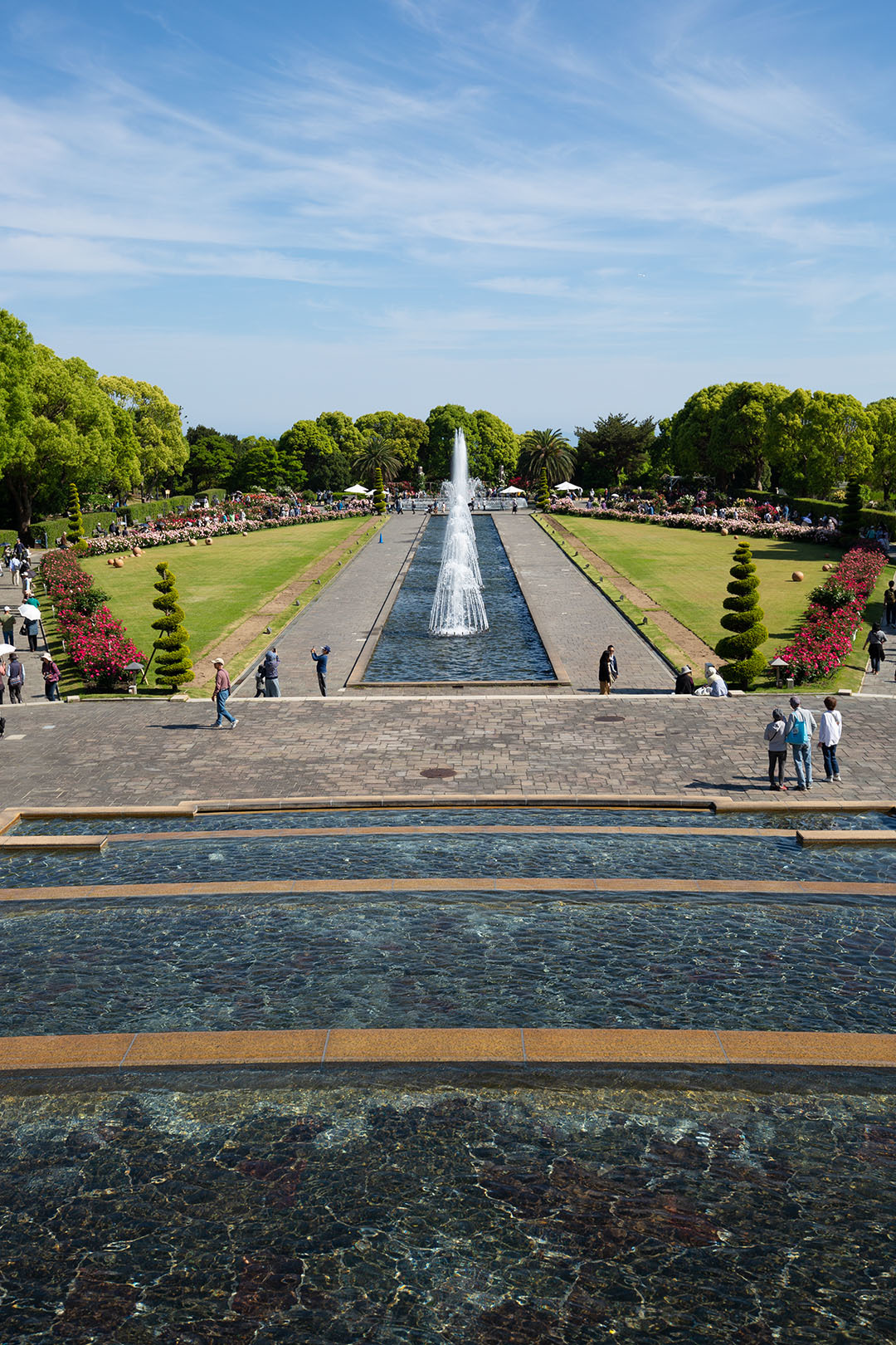 バラ （須磨離宮公園）_a0003166_00514551.jpg
