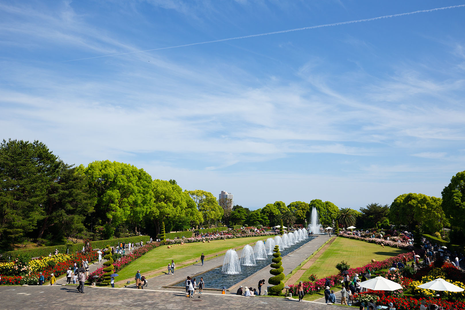 バラ （須磨離宮公園）_a0003166_00514576.jpg