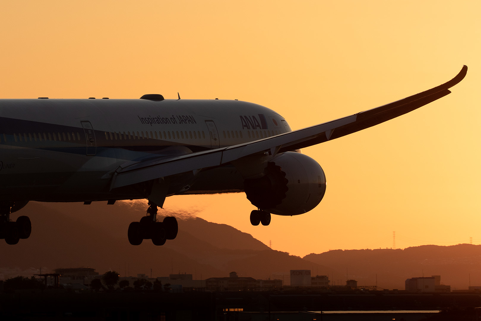 飛行機 夕焼け（伊丹空港 千里川）_a0003166_00521279.jpg