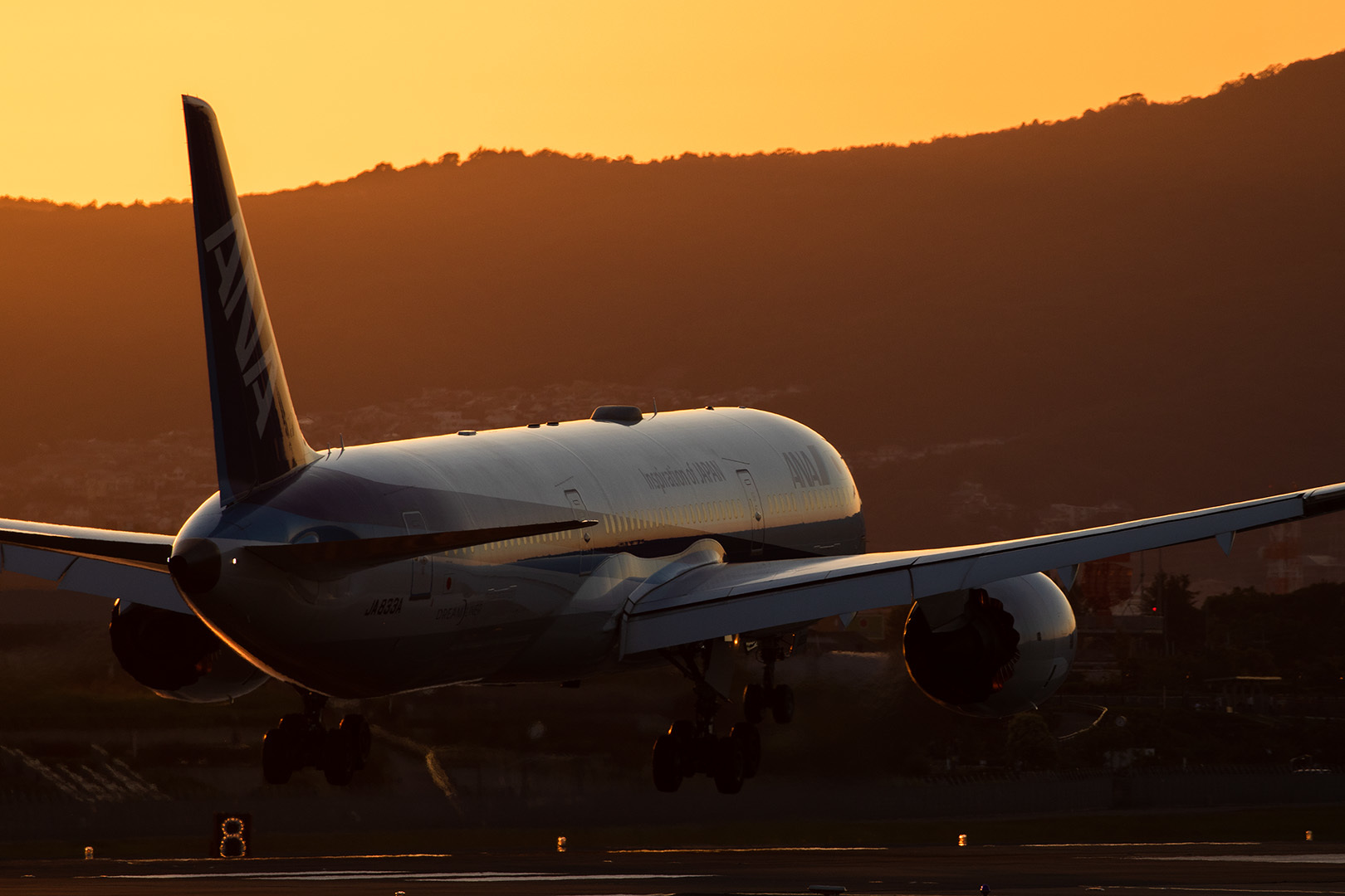 飛行機 夕焼け（伊丹空港 千里川）_a0003166_00523140.jpg