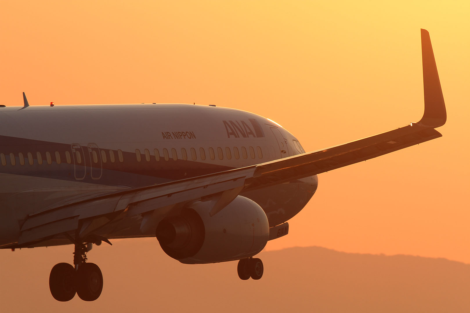 Ｂ７３７　（伊丹空港、千里川）_a0003166_011448.jpg