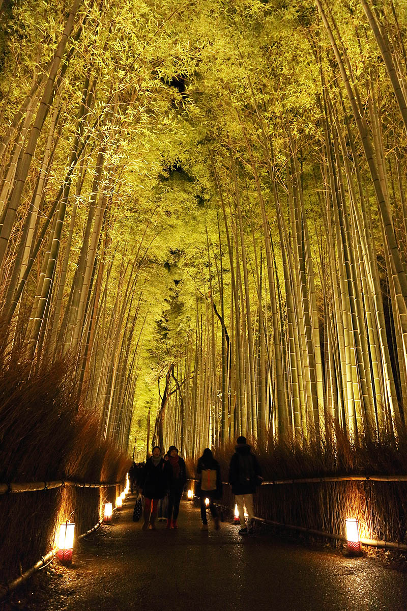 京都・花灯路_a0003166_014269.jpg