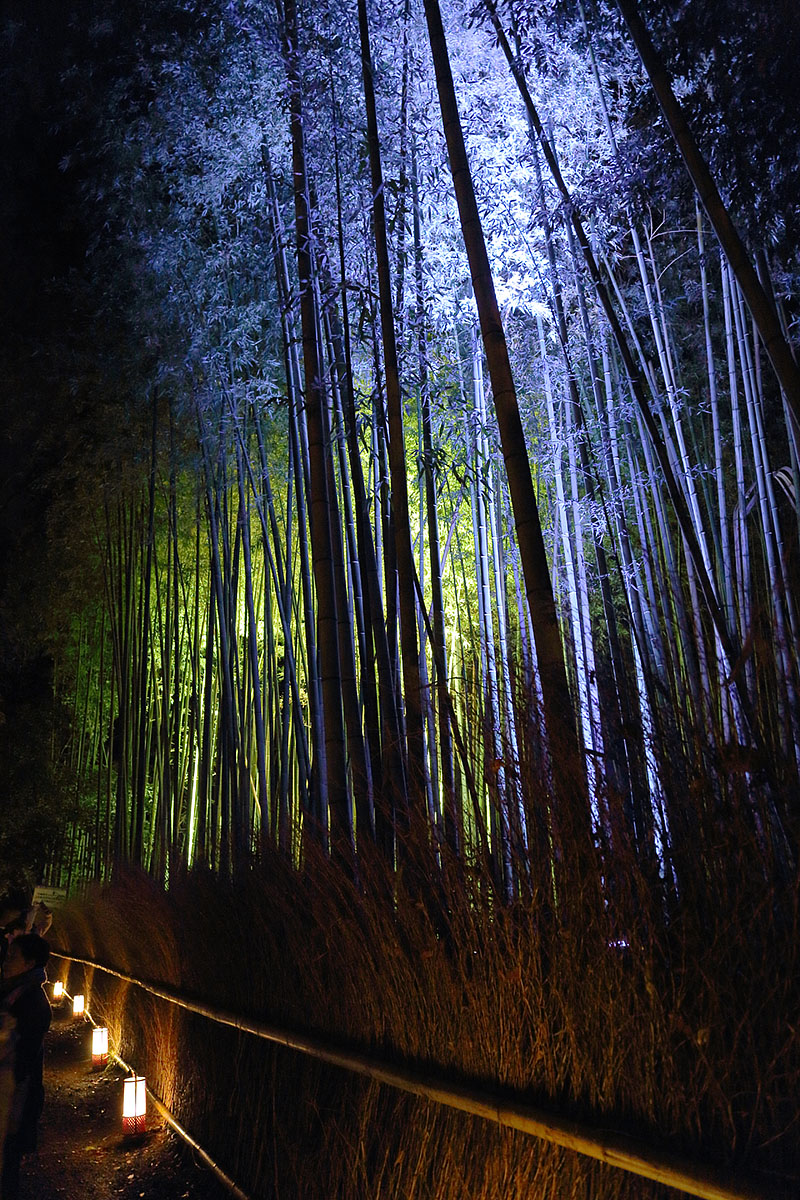 京都・花灯路_a0003166_014459.jpg