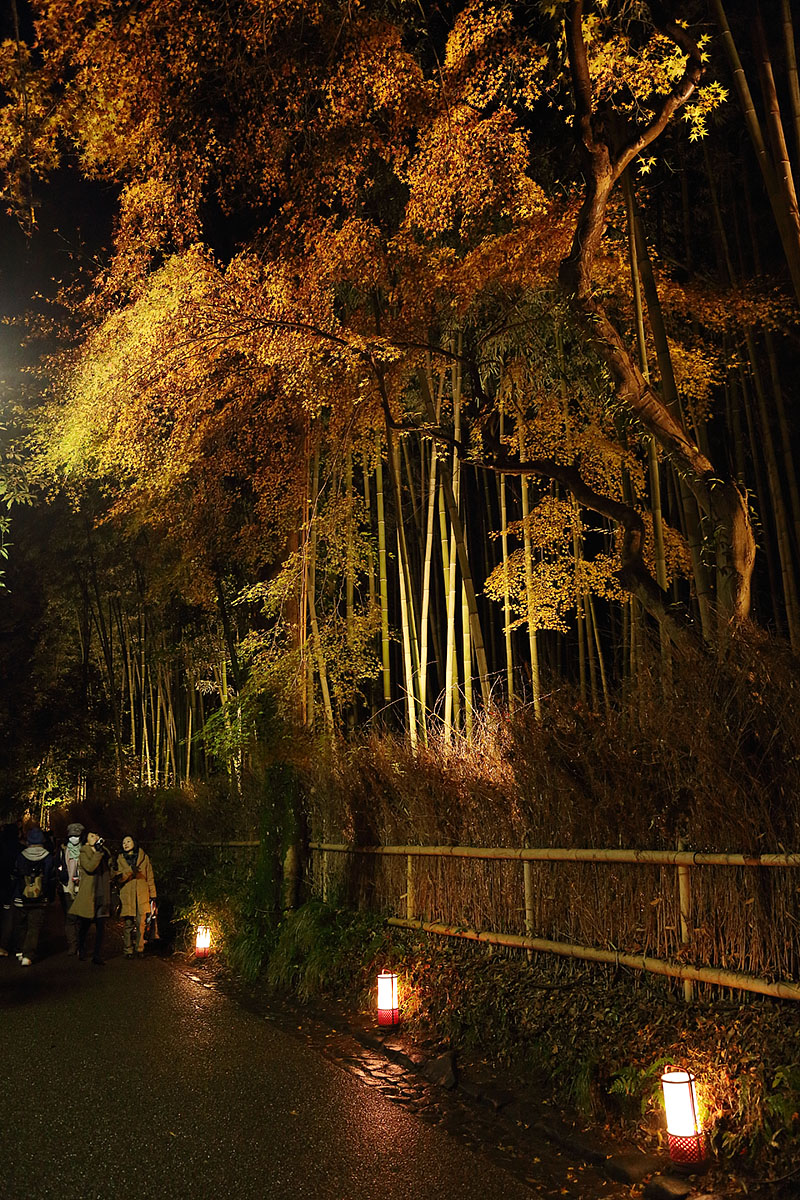 京都・花灯路_a0003166_014891.jpg
