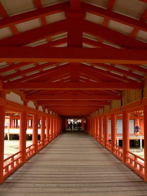 8/22,23の写真_a0003166_016362.jpg