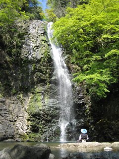 もみじと花_a0003166_0164922.jpg