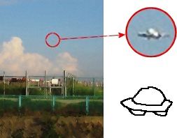 なし_a0003166_0194421.jpg