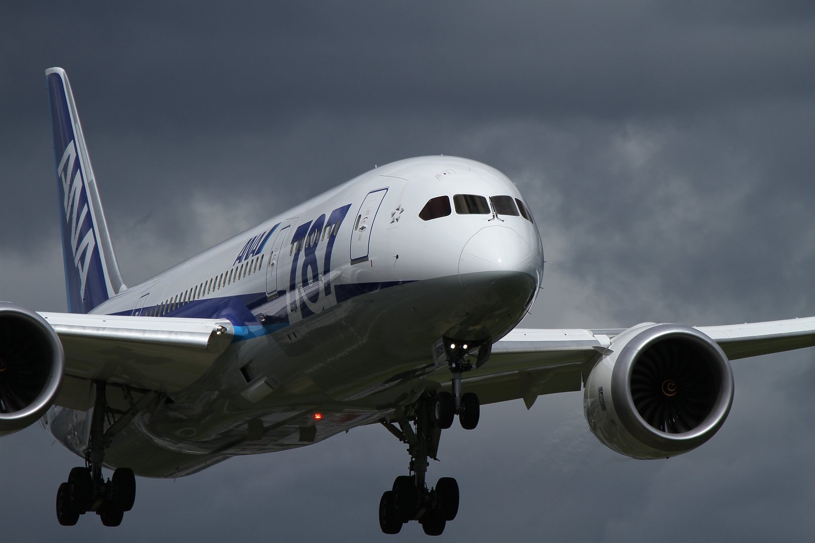 Ｂ７８７　（伊丹空港　猪名川堤防）_a0003166_0215140.jpg