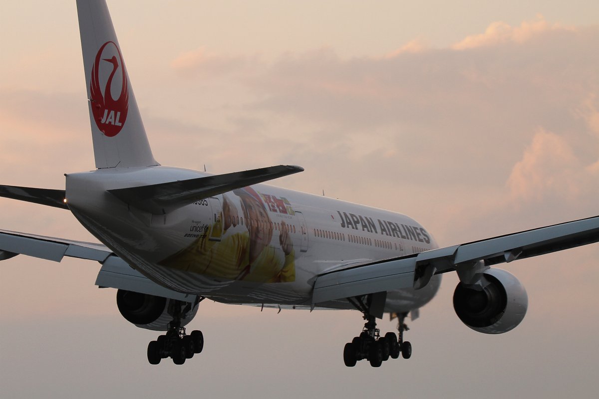 飛行機　（千里川）_a0003166_0235415.jpg