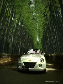 なし_a0003166_027338.jpg