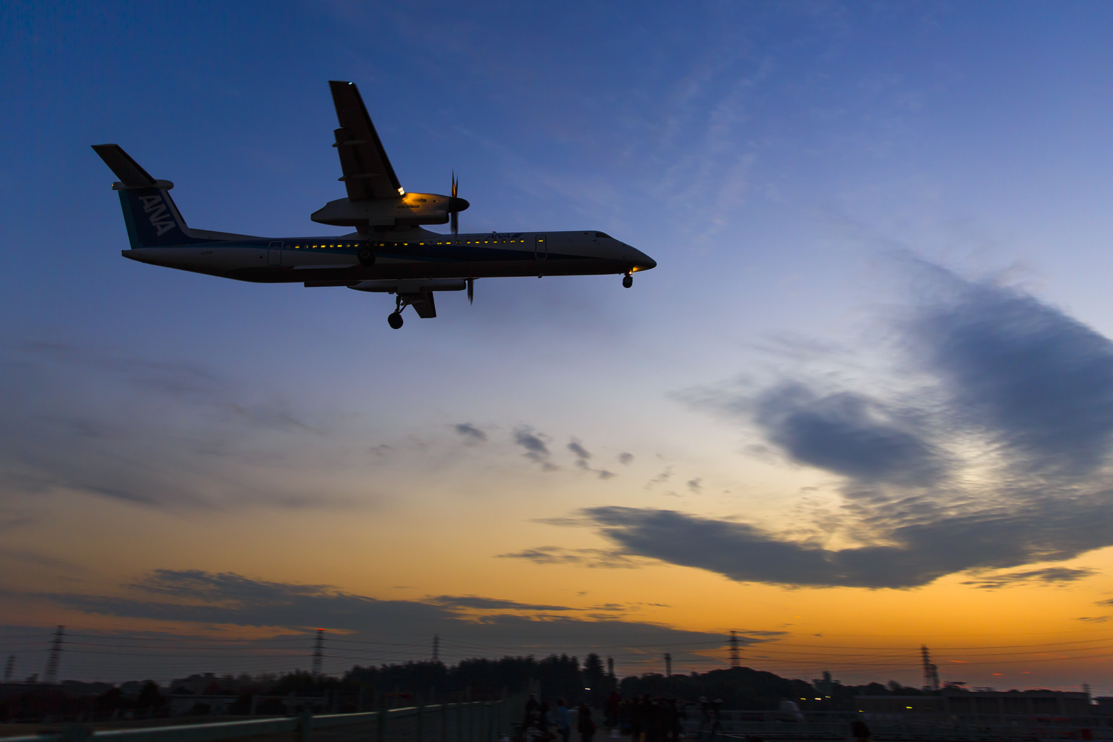 飛行機　夕焼け （伊丹空港 千里川）_a0003166_027472.jpg