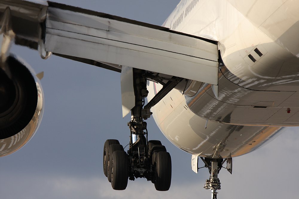飛行機_a0003166_0282910.jpg