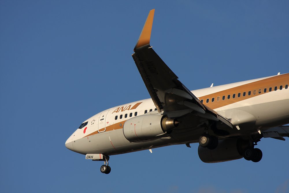 飛行機_a0003166_028674.jpg