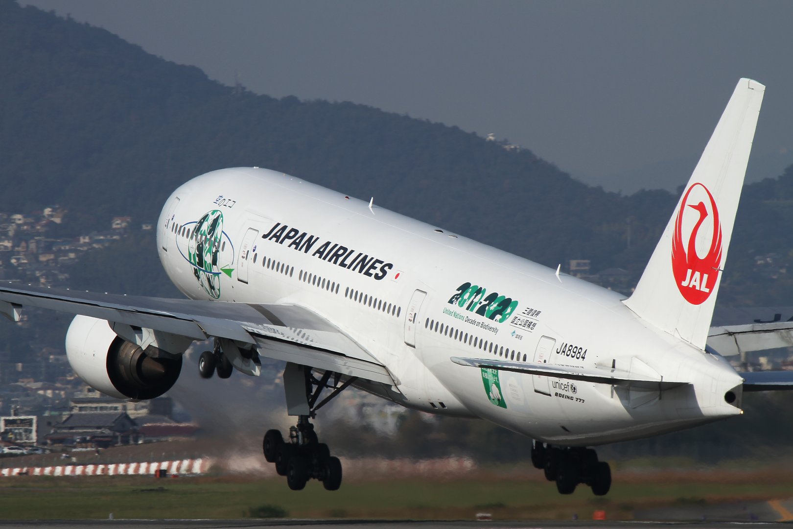 飛行機 （ＡＮＡのＢ７８７、ＪＡＬ「空のエコ」など、伊丹スカイパーク）_a0003166_0311180.jpg