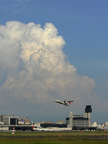 飛行機_a0003166_031379.jpg
