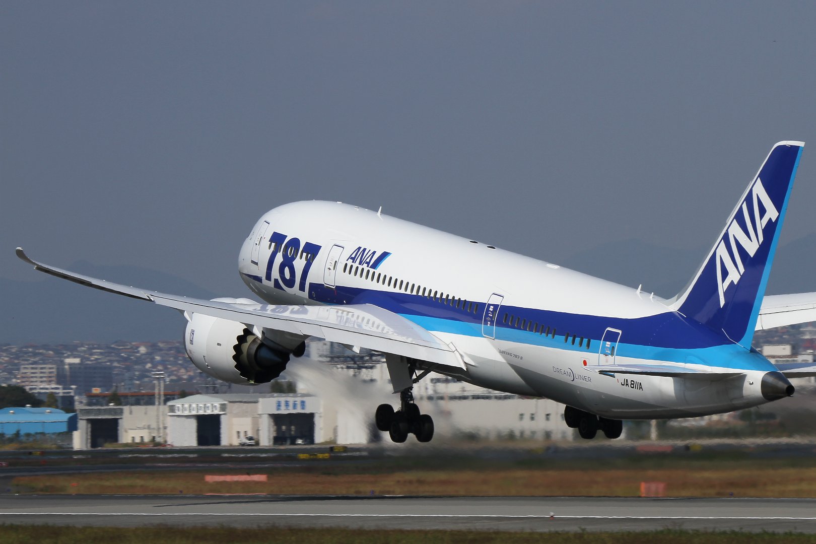 飛行機 （ＡＮＡのＢ７８７、ＪＡＬ「空のエコ」など、伊丹スカイパーク）_a0003166_0314848.jpg