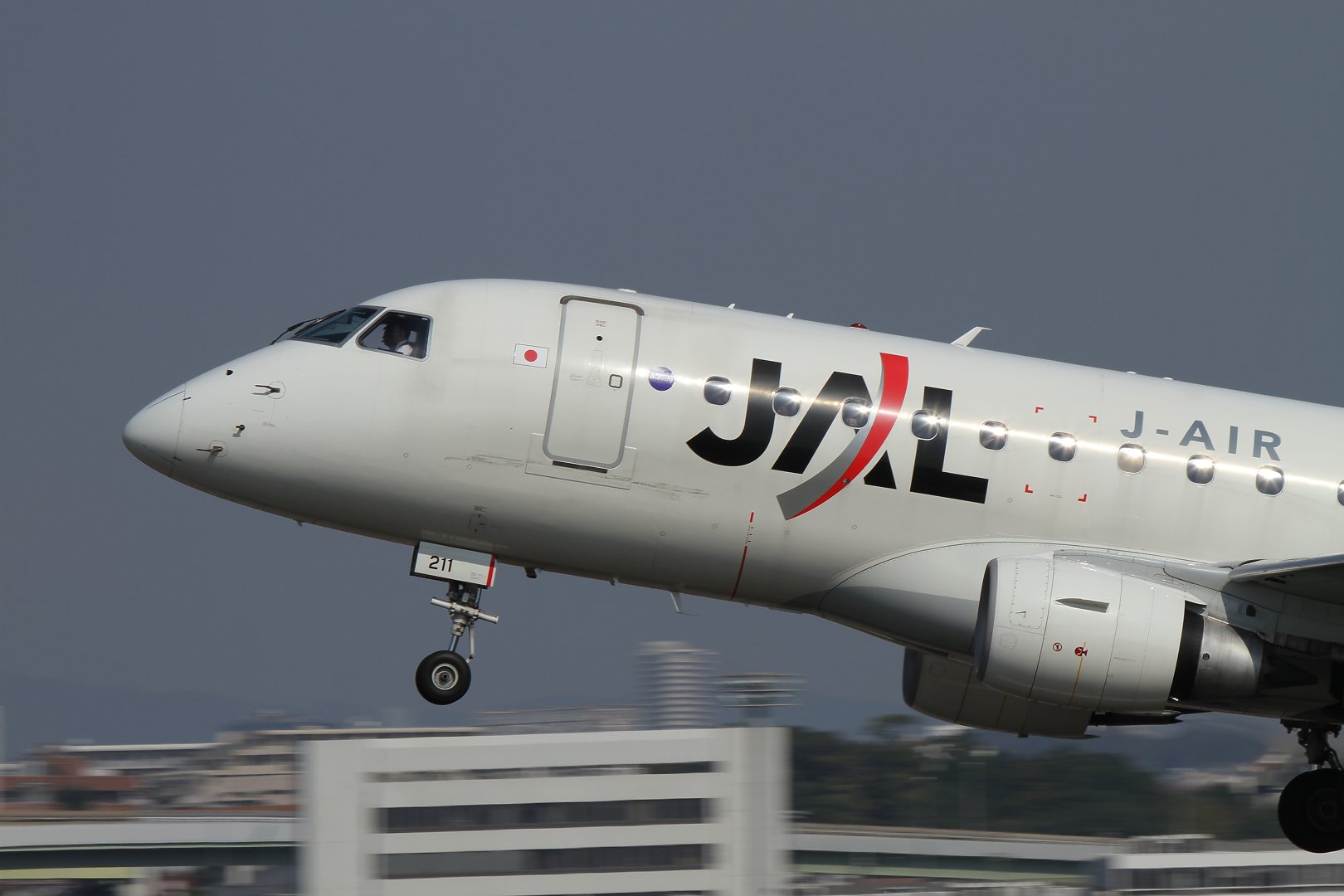 飛行機 （ＡＮＡのＢ７８７、ＪＡＬ「空のエコ」など、伊丹スカイパーク）_a0003166_0315121.jpg