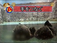 なし_a0003166_034572.jpg
