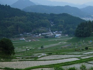 棚田_a0003166_03724100.jpg