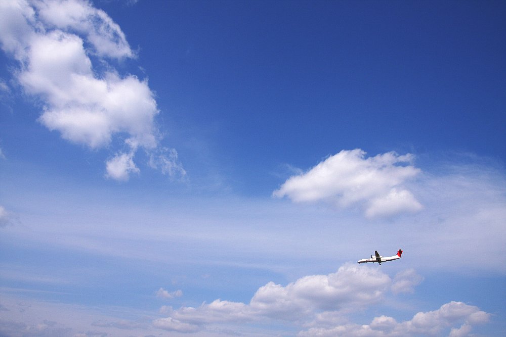 飛行機_a0003166_040348.jpg