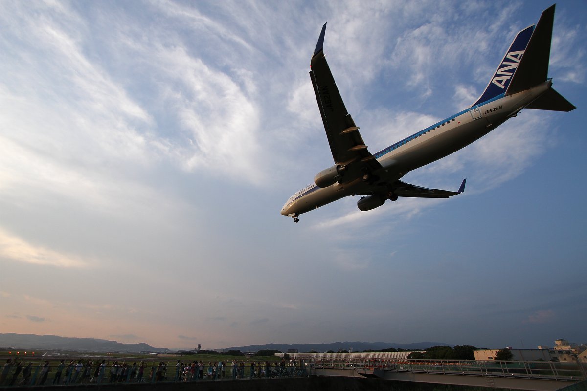 飛行機　（千里川　夕方）_a0003166_041960.jpg