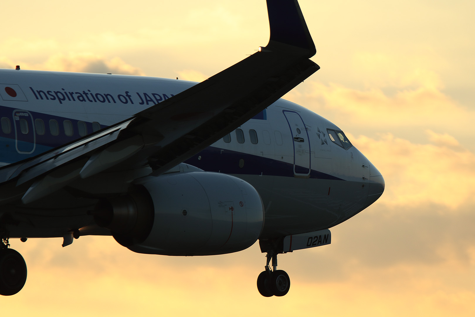 飛行機　夕焼け （伊丹空港 千里川）_a0003166_0421483.jpg