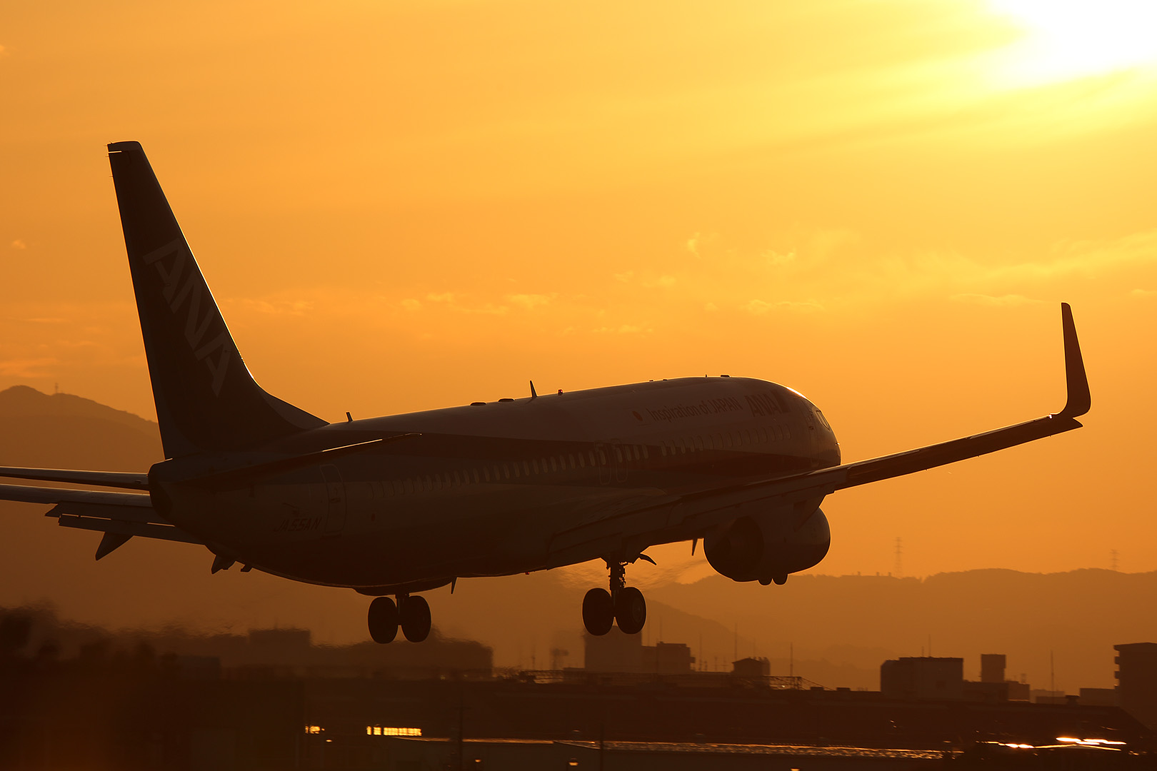 飛行機 夕焼け　（伊丹空港 千里川 5/31）_a0003166_0431286.jpg