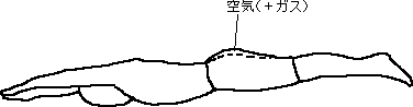 織物の水着で空気をためる方法_a0003166_043140.gif