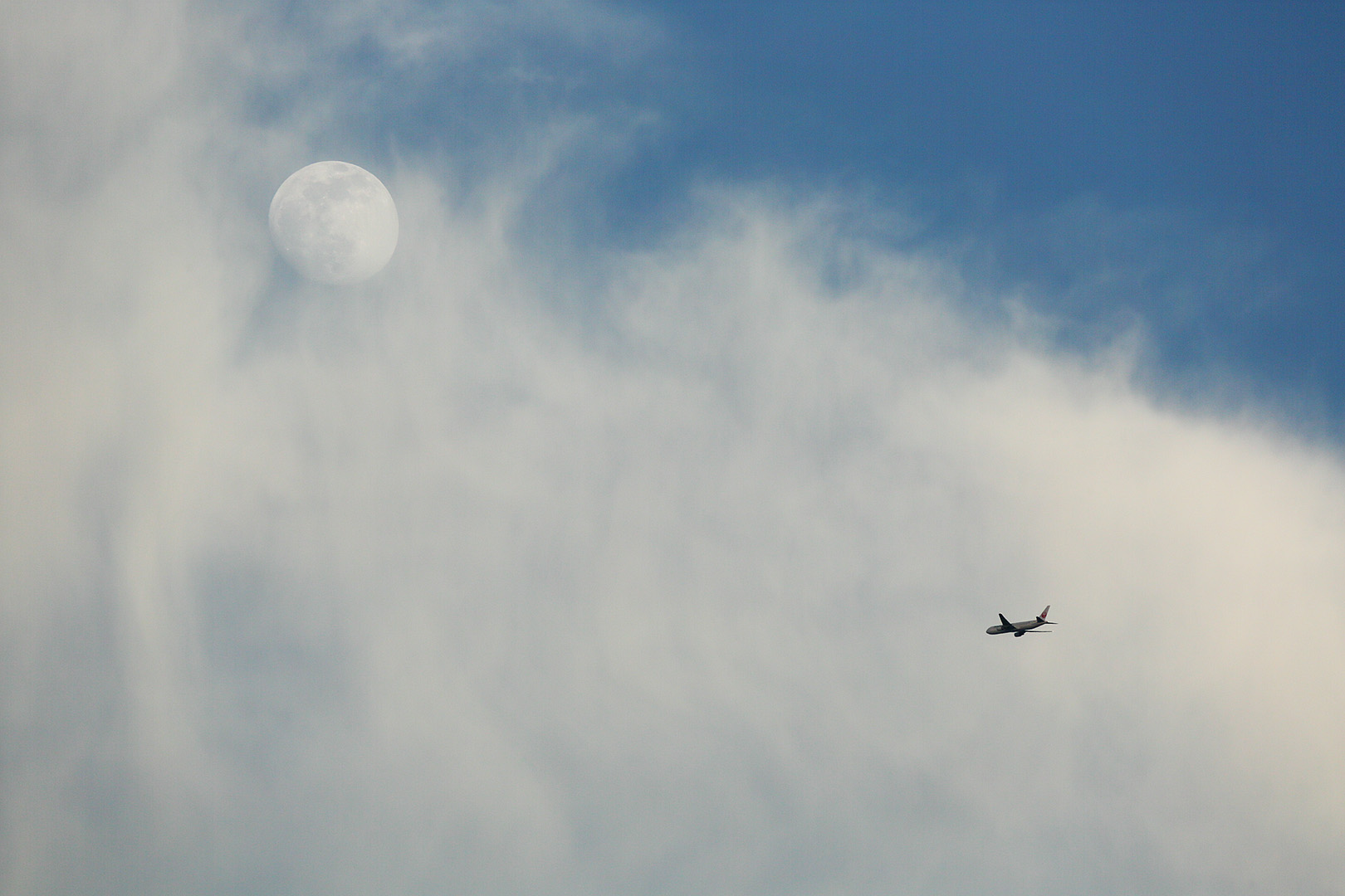 飛行機 夕焼け　（伊丹空港 千里川 5/31）_a0003166_0434013.jpg