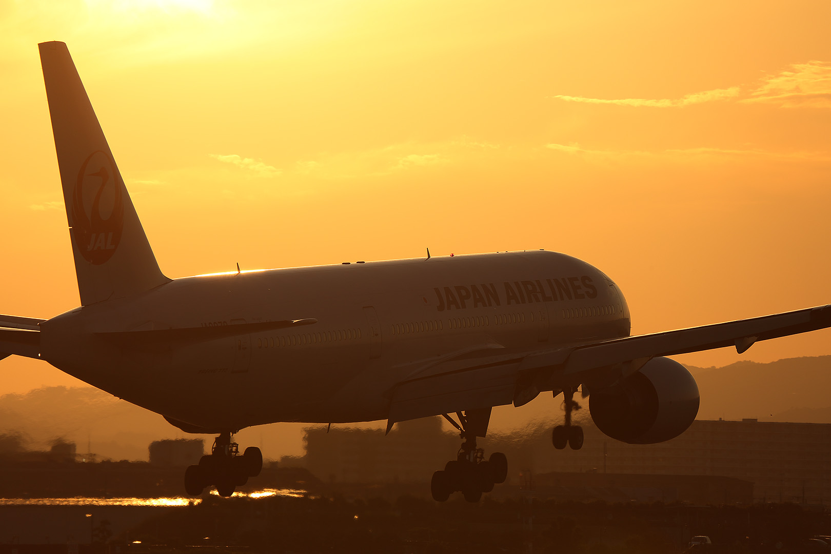 飛行機 夕焼け　（伊丹空港 千里川 5/31）_a0003166_0434098.jpg