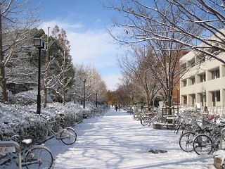 乗っかる_a0003166_044389.jpg