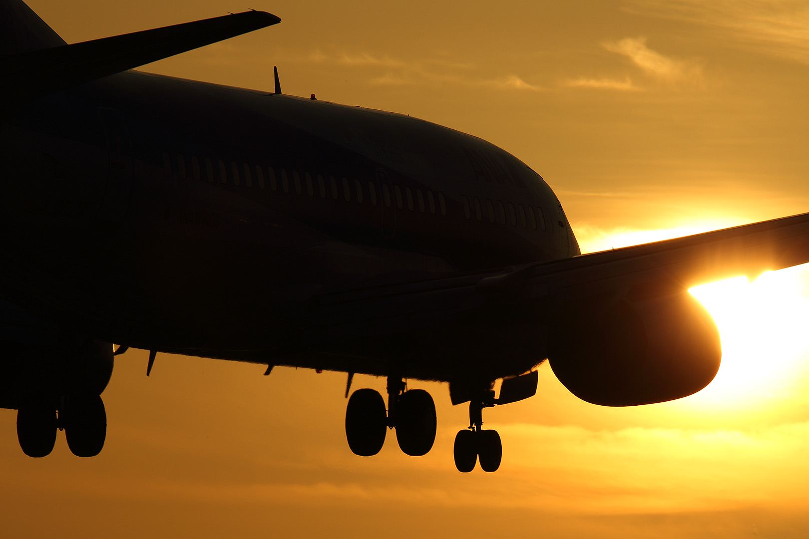 飛行機　夕焼け （伊丹空港 千里川）_a0003166_0461349.jpg