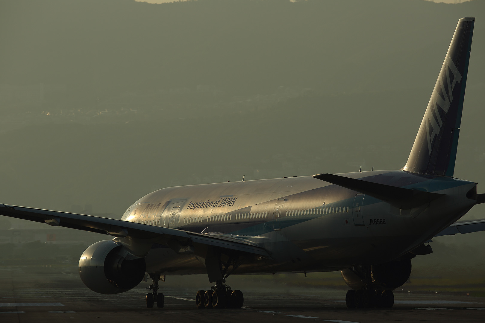 飛行機　夕焼け （伊丹空港 千里川）_a0003166_0461473.jpg