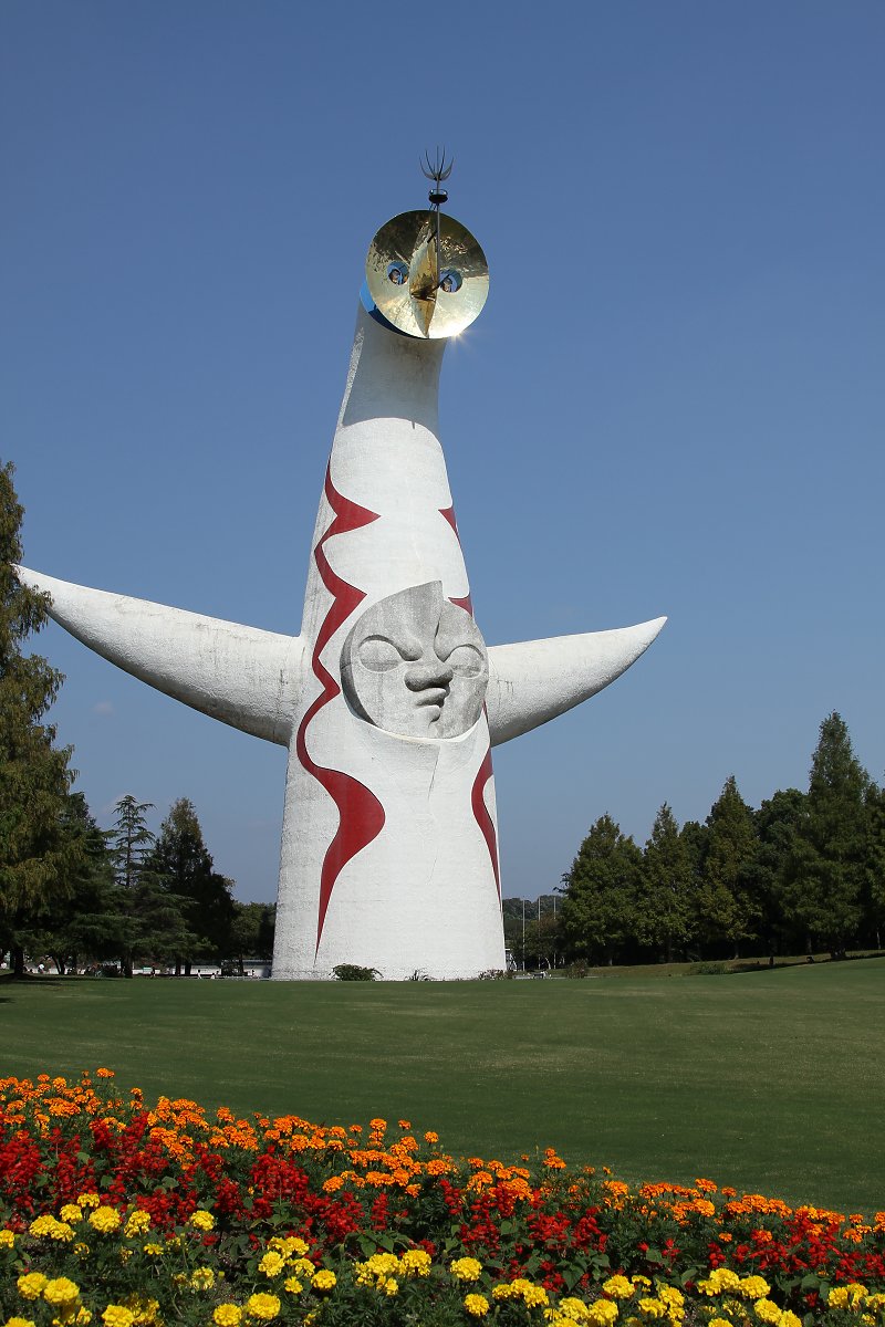 コスモス、ひまわり　（万博公園）_a0003166_0512665.jpg