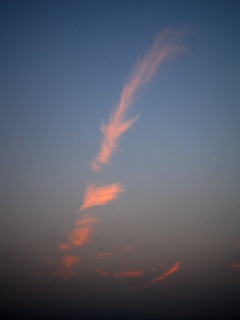 L_a0003166_0525681.jpg