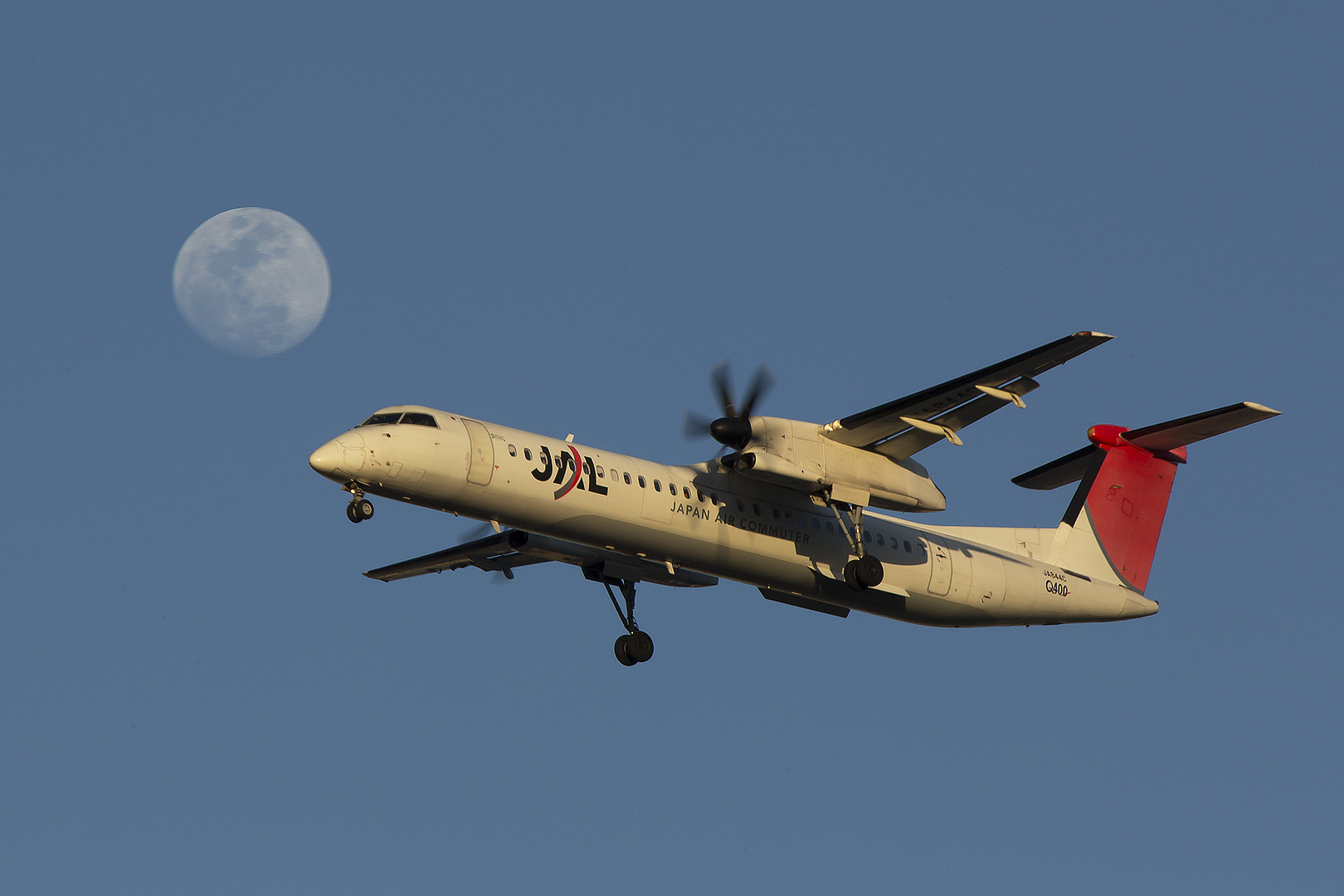 飛行機　夕焼け （伊丹空港 千里川）_a0003166_0533055.jpg
