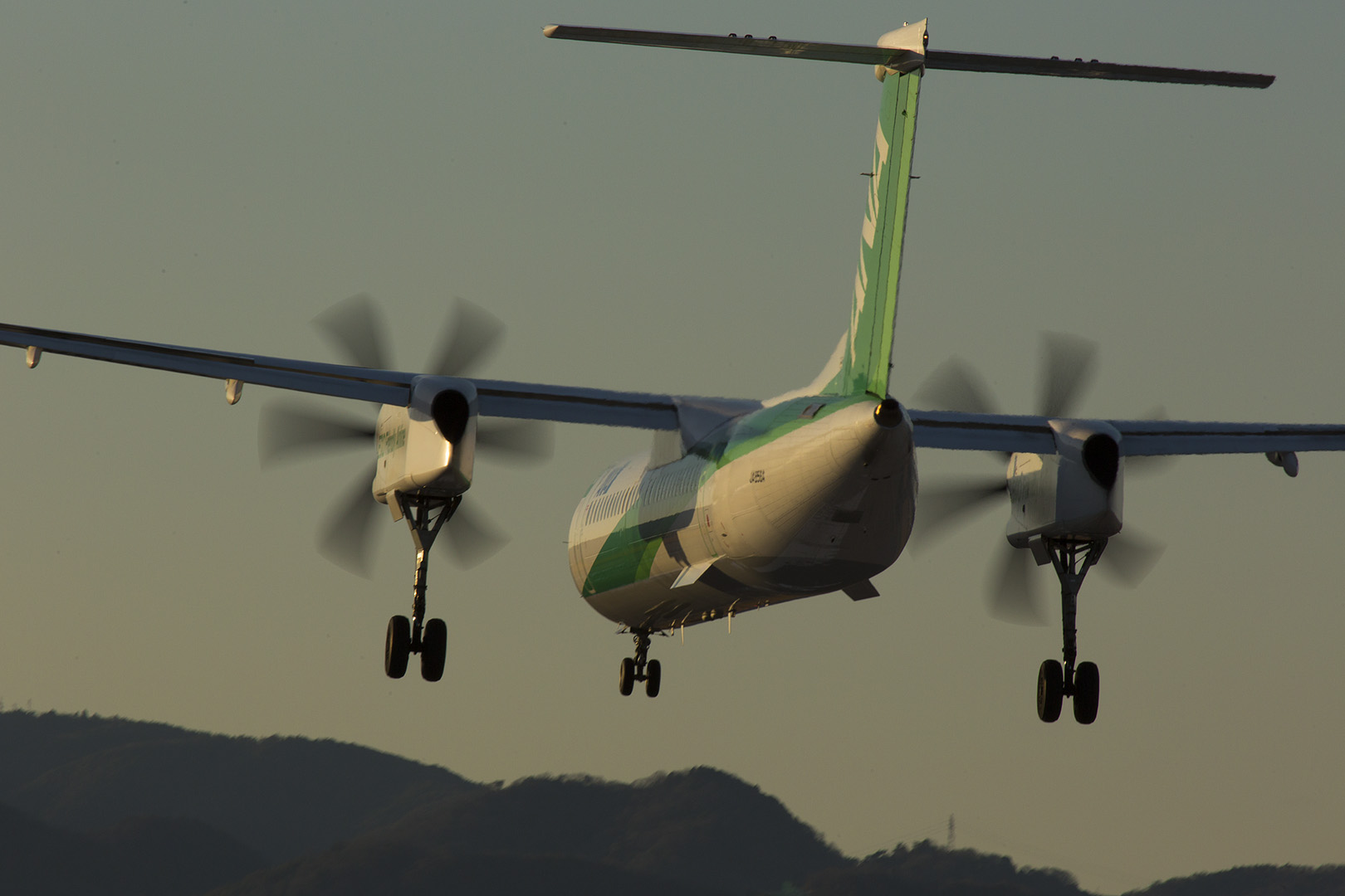 飛行機　夕焼け （伊丹空港 千里川）_a0003166_0533579.jpg