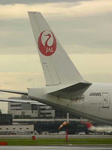 つる_a0003166_0544268.jpg