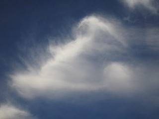 ふわふわ_a0003166_056064.jpg