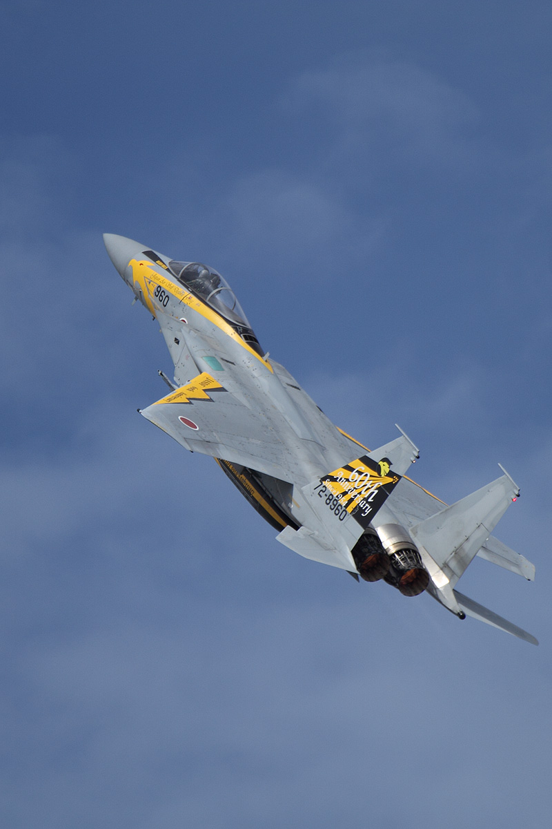 いろんな飛行機 （小松基地航空祭）_a0003166_056744.jpg