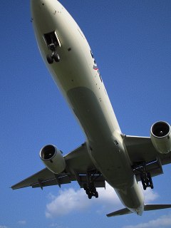 はみ出る_a0003166_0575256.jpg