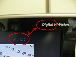 高ポテンシャル、低パフォーマンス_a0003166_0593962.jpg